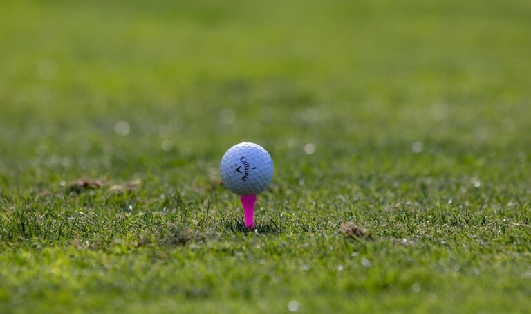 theotherkev-golf-flag-7465212_1920